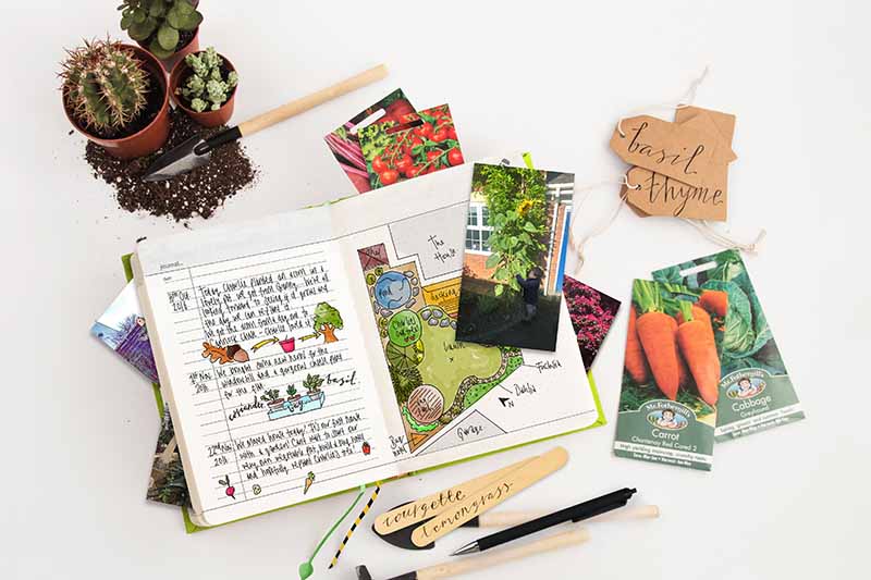 What To Write in a Garden Journal & 5 Garden Journals to Shop
