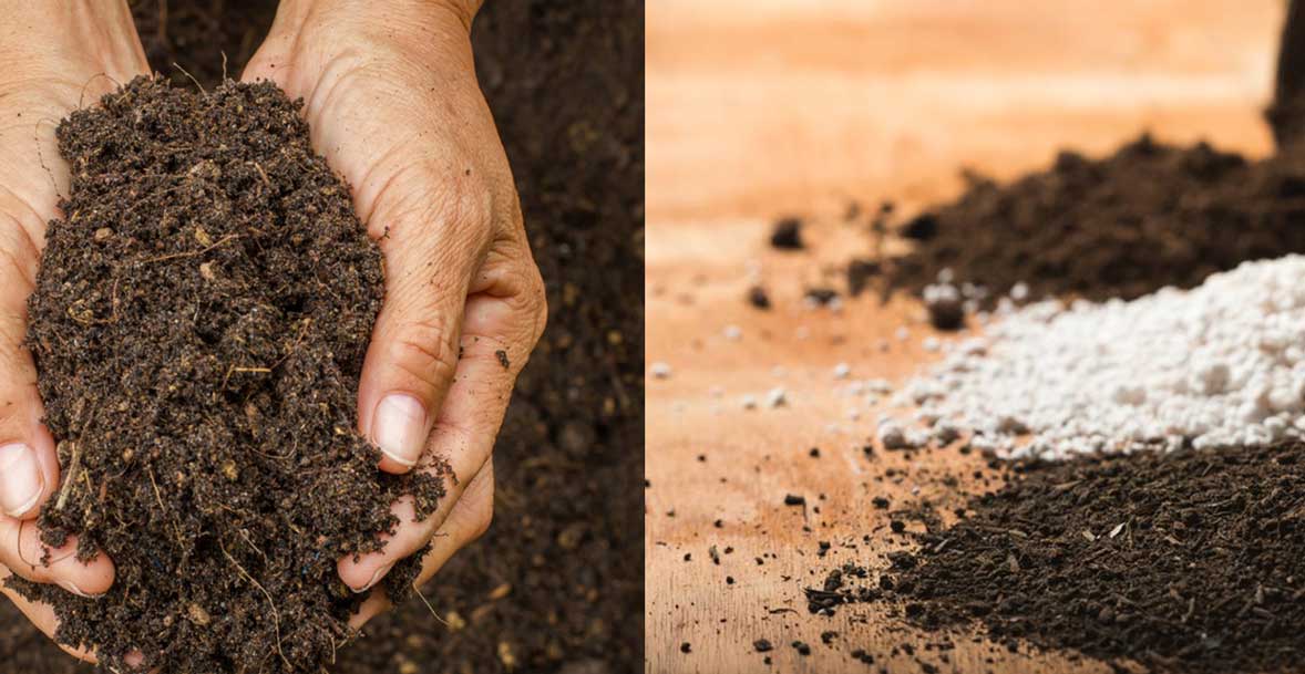 What Is the Difference Between Compost and Potting Soil?